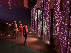 OnStage-FloodLite HD - Biennale de la magie, Macon-Adequason